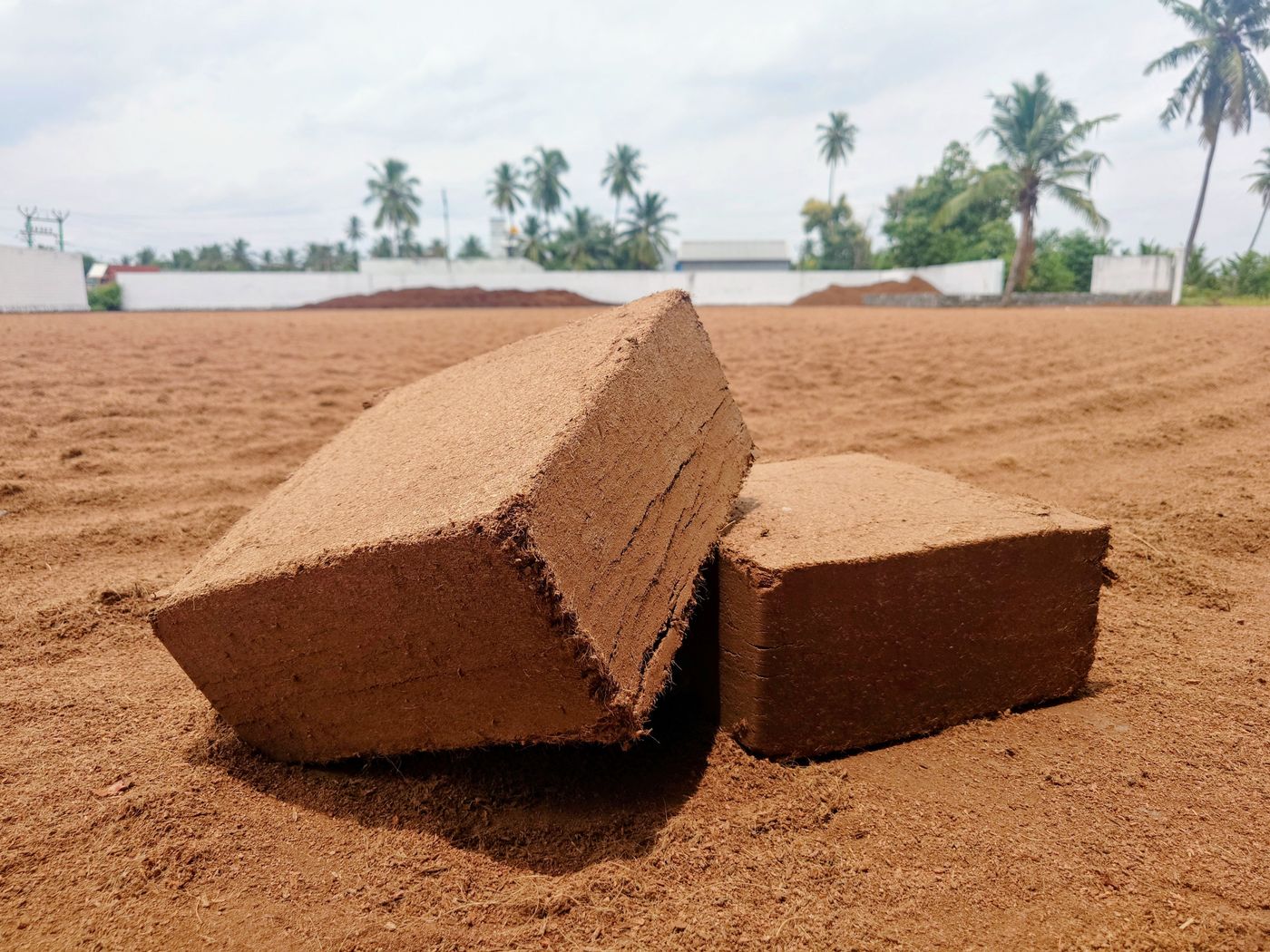 Compressed cocopeat blocks stacked at a cocopeat processing yard in India